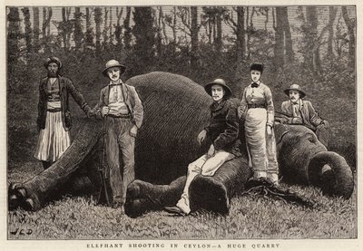 Elefantenjagd in Ceylon, eine riesige Beute von John Charles Dollman