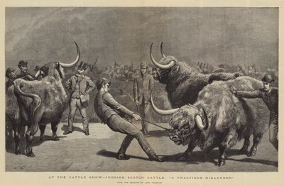 Auf der Viehschau, Bewertung von schottischem Vieh, ein widerspenstiger Highlander von John Charlton