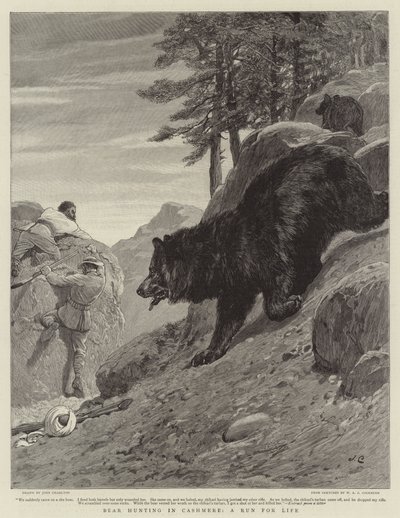 Bärenjagd in Kaschmir, ein Lauf um Leben und Tod von John Charlton
