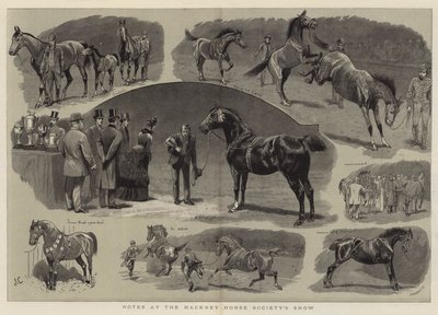Notizen bei der Hackney Horse Society Show von John Charlton