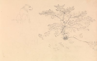 Studie eines Hundes mit Halsband und von Baumzweigen von John Christian Schetky