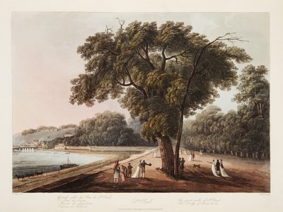 St Cloud, Der Große Spaziergang von St Cloud, Die Brücke von Sevres, etc., Illustration aus Versailles, Paris und Saint Denis, veröffentlicht 1805 von John Claude Nattes