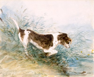 Ein Hund beobachtet eine Ratte im Wasser, 1831 von John Constable