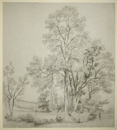 Eine Gruppe von Ulmen (recto); Eine Studie von East Bergholt mit der Kirche (verso) von John Constable
