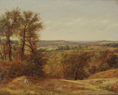 Dedham Vale von John Constable