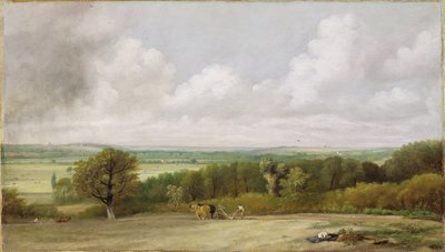 Landschaft: Pflügszene in Suffolk (Ein Sommerland) ca. 1824 von John Constable