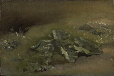 Studie einer Klette, ca. 1810-14 oder ca. 1828 von John Constable