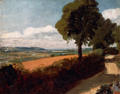 Blick von einer Straße nach East Bergholt von John Constable