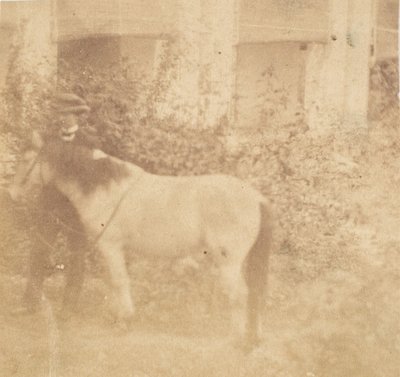 [Mann und Pferd, Regierungshaus, Allahabad] von John Constantine Stanley