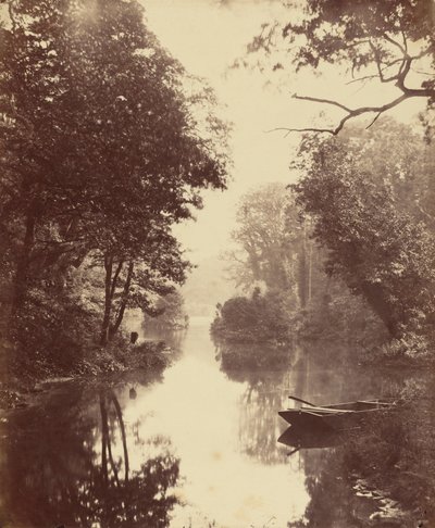 Ein Sommerabend, Penllergare, 25. August 1854 von John Dillwyn Llewelyn