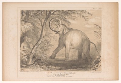 Karikatur mit Lord Ellenborough als wilder Elefant von John Doyle