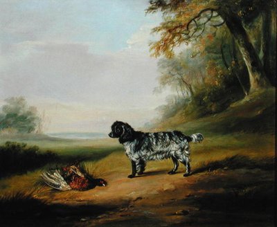 Landschaft mit einem Hund von John E. Ferneley