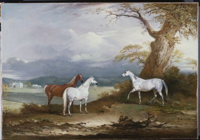 Lord Macdonalds Stuten auf dem Gelände von Thorpe Hall, Rudston, Yorkshire, 1836 von John E. Ferneley