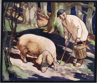Ein Schwein sucht nach Trüffeln, Illustration aus 