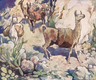 Alpakas auf einem Bergpfad, Illustration aus 