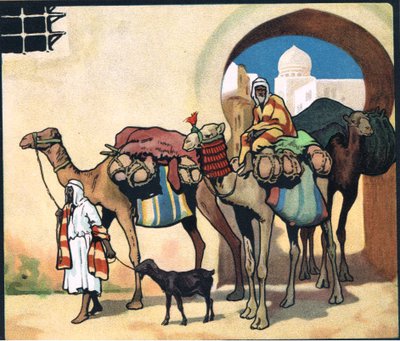 Kamelkarawane, Illustration aus 