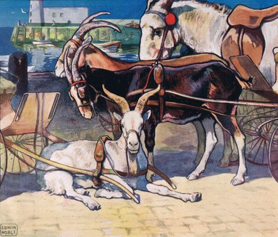 Ziegen ruhen, Illustration aus 