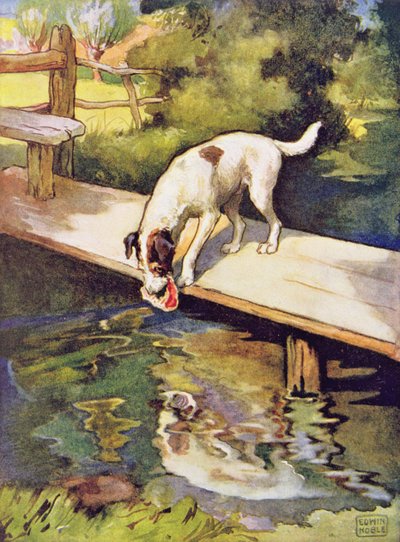 Der Hund und sein Schatten aus 