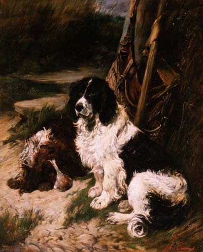Brauner und weißer und schwarzer und weißer Spaniel von John Emms