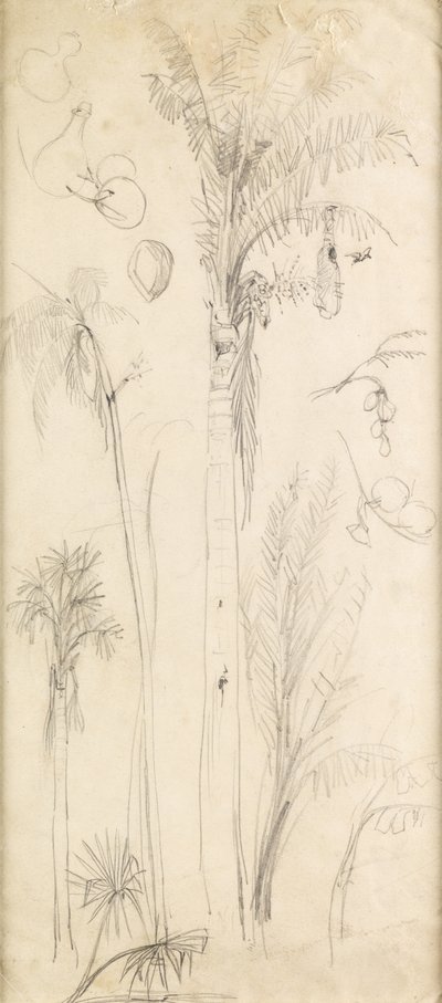 Palmen von John Everett Millais