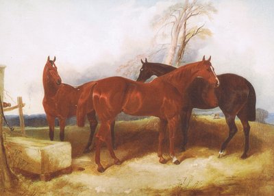 Eine Gruppe von Pferden, aus einer unbekannten Zeitschrift oder einem unbekannten Buch von John Frederick Herring Senior
