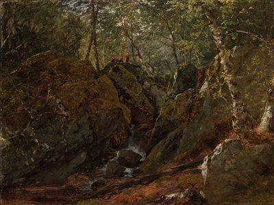 Catskill Wasserfall von John Frederick Kensett