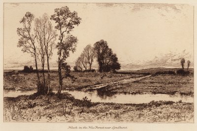 Heide im New Forest, nahe Lyndhurst von John Fullwood
