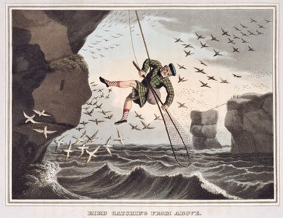 Vogeljagd von oben, graviert von Matthew Dubourg, veröffentlicht von Edward Orme, 1813 von John Heaviside Clark