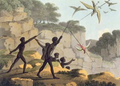 Speerwerfen, Aborigines jagen Vögel aus New South Wales, graviert von Matthew Dubourg, veröffentlicht 1813 von John Heaviside Clark