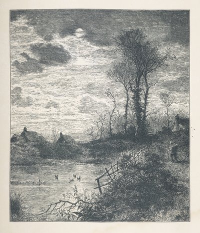 Tafel 23. Ein Teich, aus 
