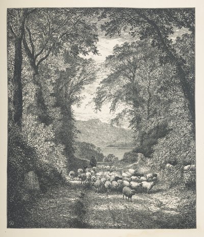 Tafel 4. Schafe, die von einem Schäfer entlang eines Pfades getrieben werden. Naturbilder. Eine Serie von dreißig Originalillustrationen, auf Holz gezeichnet von J. H. Dell und graviert von R. Paterson von John Henry Dell