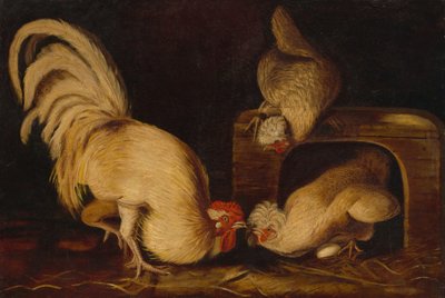 Hofgeflügel, ca. 1827 von John James Audubon