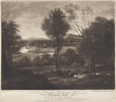 Ein Blick auf Petersham & Twickenham Meadows von Richmond Hill von John Jones