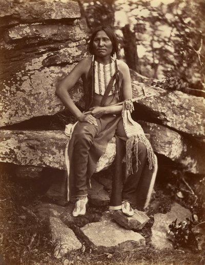 [Kleiner Bär, Cheyenne] von John K. Hillers