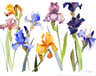 Iris, 2014 von John Keeling