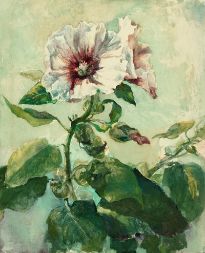 Studie von rosa Stockrosen im Sonnenlicht, aus der Natur von John La Farge
