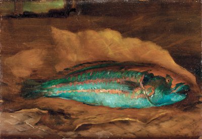 Studie des Papageienfisches, Samoa, 1890 von John La Farge or Lafarge