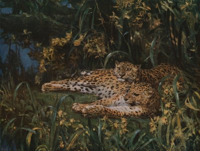 Indische Leoparden, spätes 19. - frühes 20. Jahrhundert, um 1930 von John Macallan Swan