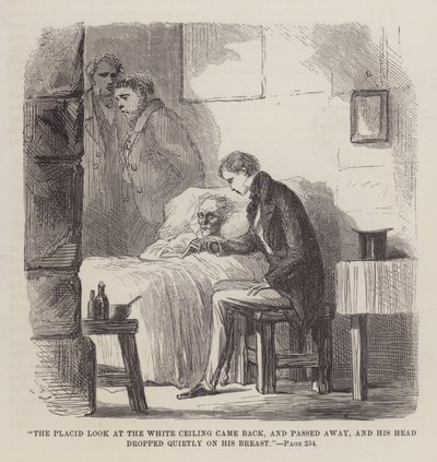 Illustration für Große Erwartungen von John McLenan