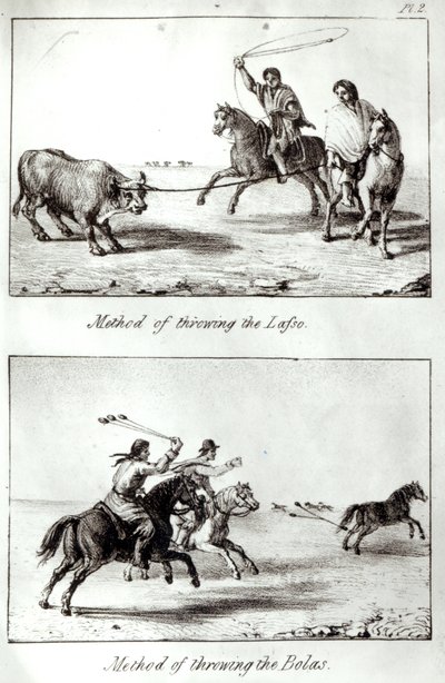 Methoden des Lassowerfens und der Bolas, aus 