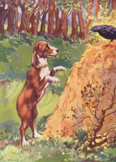 Illustration für Beautiful Joe von Marshall Saunders von John Nicholson