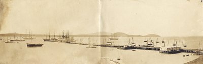 Auckland Hafen, 1865 von John Nicol Crombie