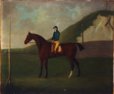 "Creeper", ein braunes Fohlen mit Jockey am Startpunkt am Running Gap im Devils Ditch, Newmarket von John Nott Sartorius