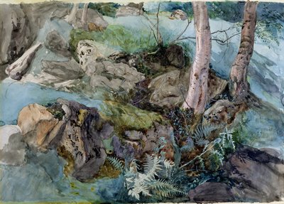 Studie von Felsen und Farnen in einem Wald bei Crossmount, Perthshire, 1843 von John Ruskin