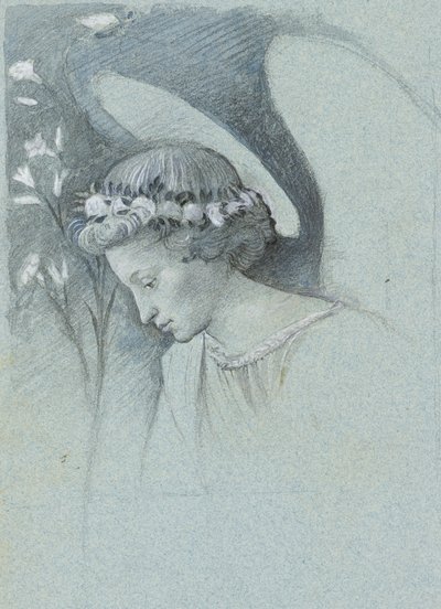 Studie des Kopfes des Erzengels Gabriel in Filippo Lippis 