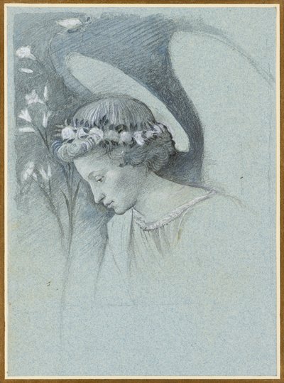 Studie des Kopfes des Erzengels Gabriel in Filippo Lippis 