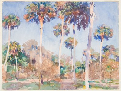 Palmen von John Singer Sargent