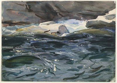 Salmon River, 1901 von John Singer Sargent
