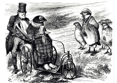Eine Karikatur, die die Aussetzung der Moorhuhnjagd kommentiert, um den Bestand wieder aufzubauen. Illustriert von John Tenniel (1820-1914), einem englischen Illustrator, humoristischen Grafiker und politischen Karikaturisten von John Tenniel