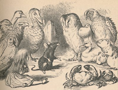 Illustration für das Kapitel ein Caucus-Rennen und ein langer Schwanz. Alice und verschiedene Kreaturen von John Tenniel